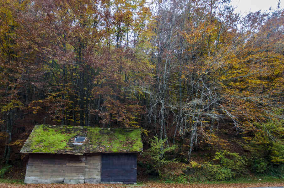Comunidad Foral de Navarra 155 - valle de Roncal.jpg